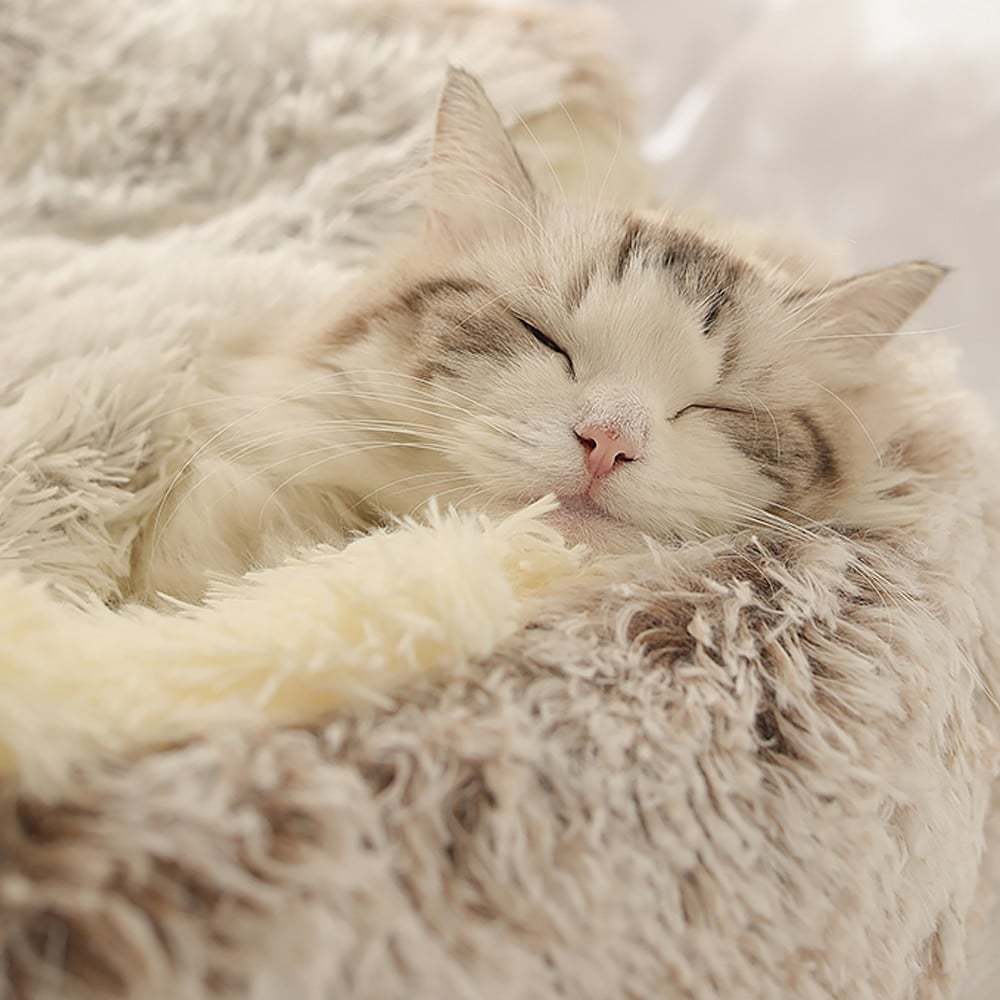 🔥Cat Plush Bed