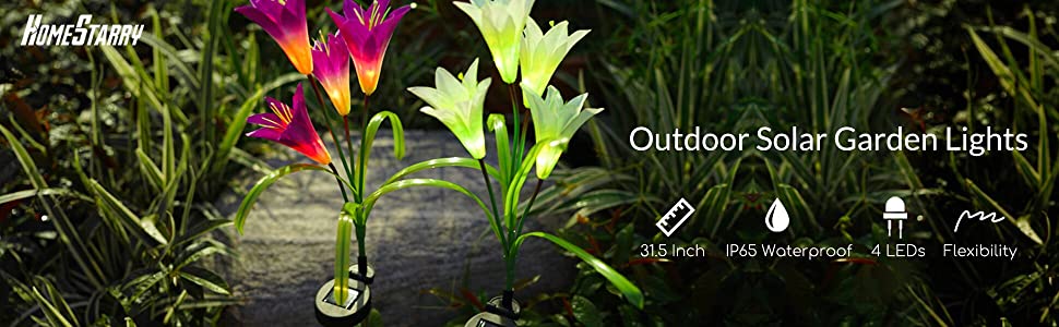 solar  lights
