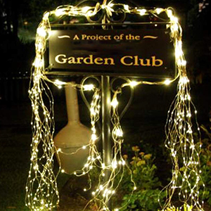 tree vine lights