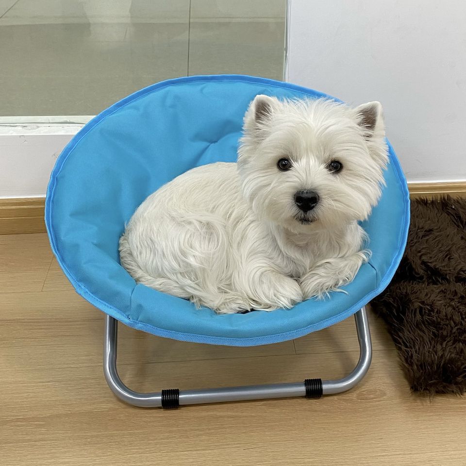 Car Seat Armrest Pet Carrier