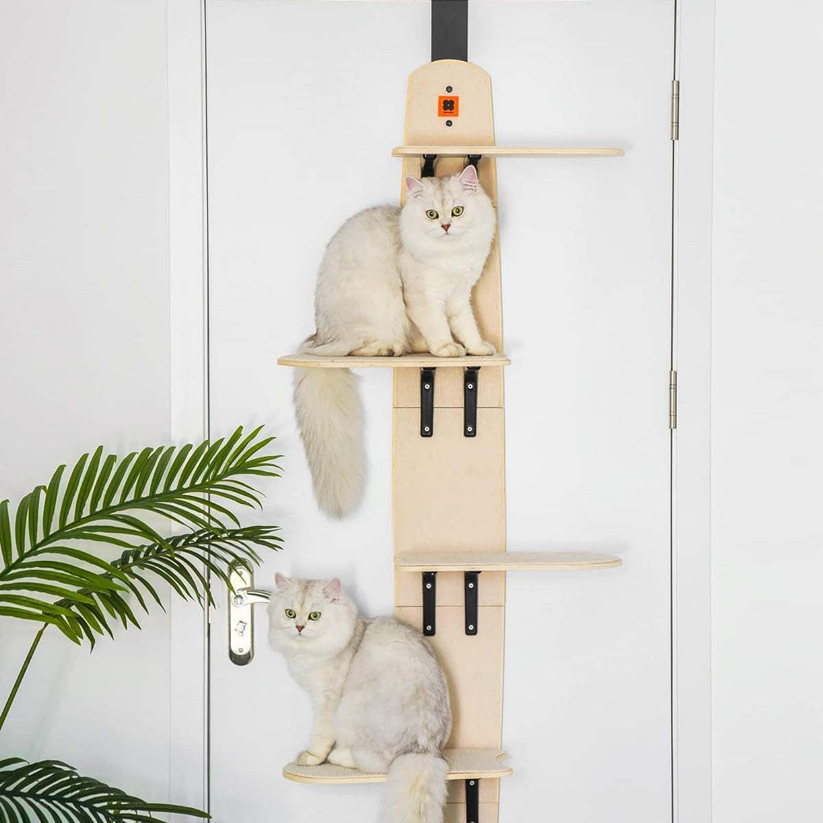 Sherman Cat Shelf Basic