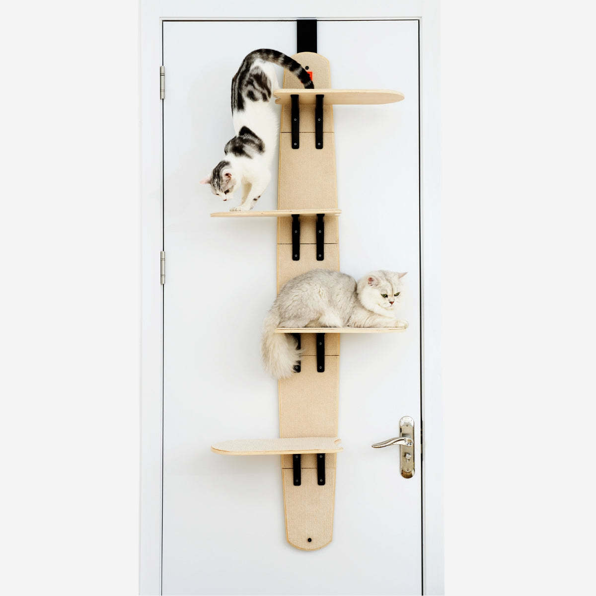 Sherman Cat Shelf Basic