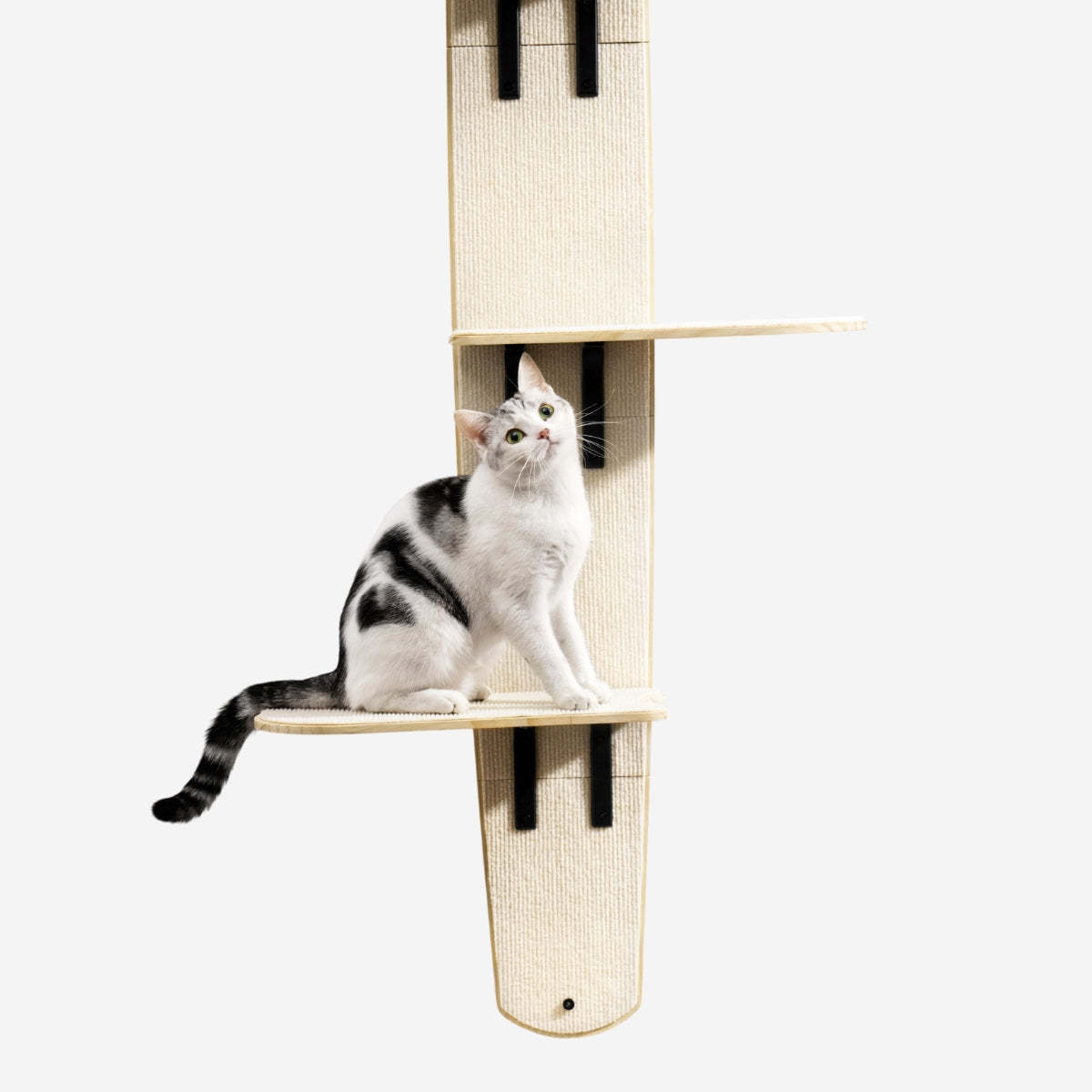 Sherman Cat Shelf Basic