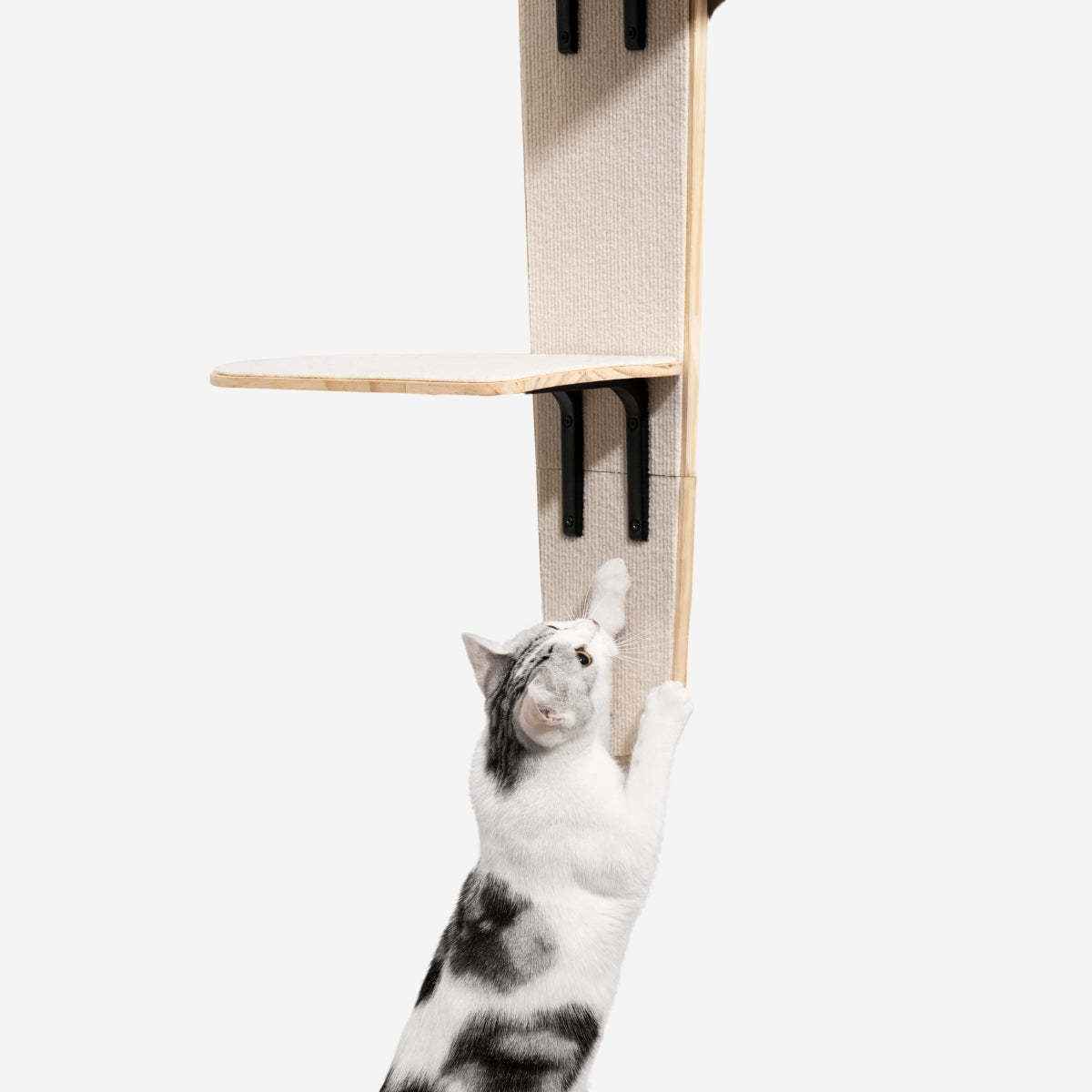 Sherman Cat Shelf Basic