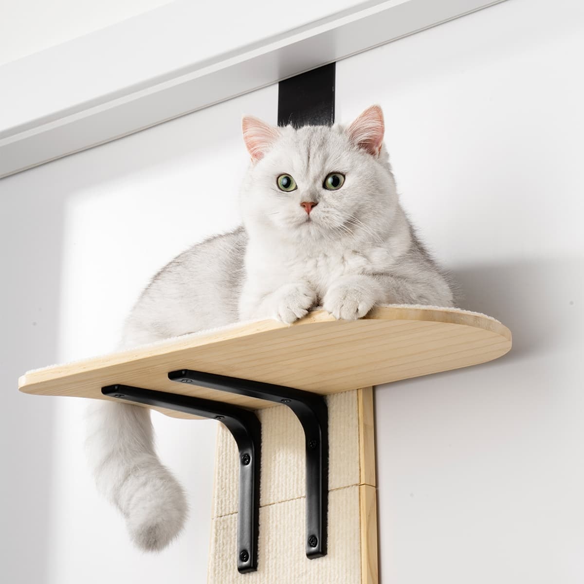 Sherman Cat Shelf Basic