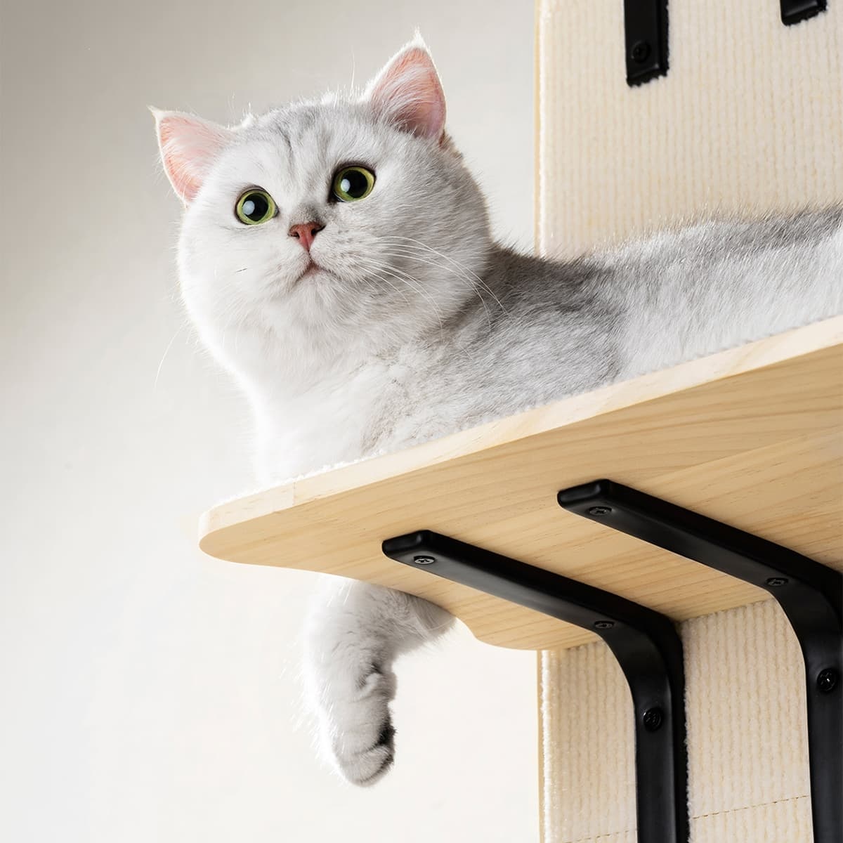 Sherman Cat Shelf Basic