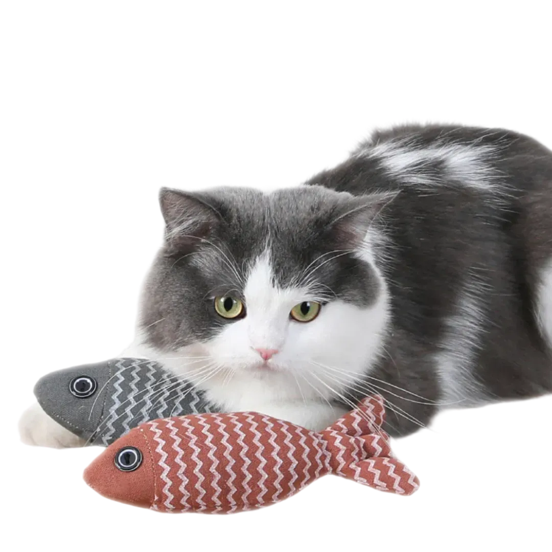 Cat Instinct Trainer