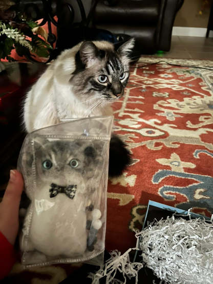 A001: Customized Lovely Slim Cat Silicone Squishy Kitty——