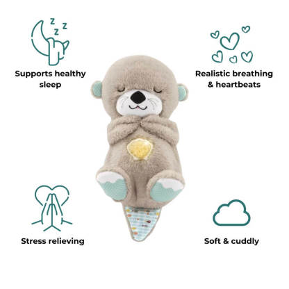 The Dreamy Otter