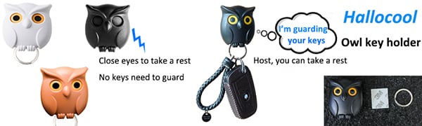 Owl key holder