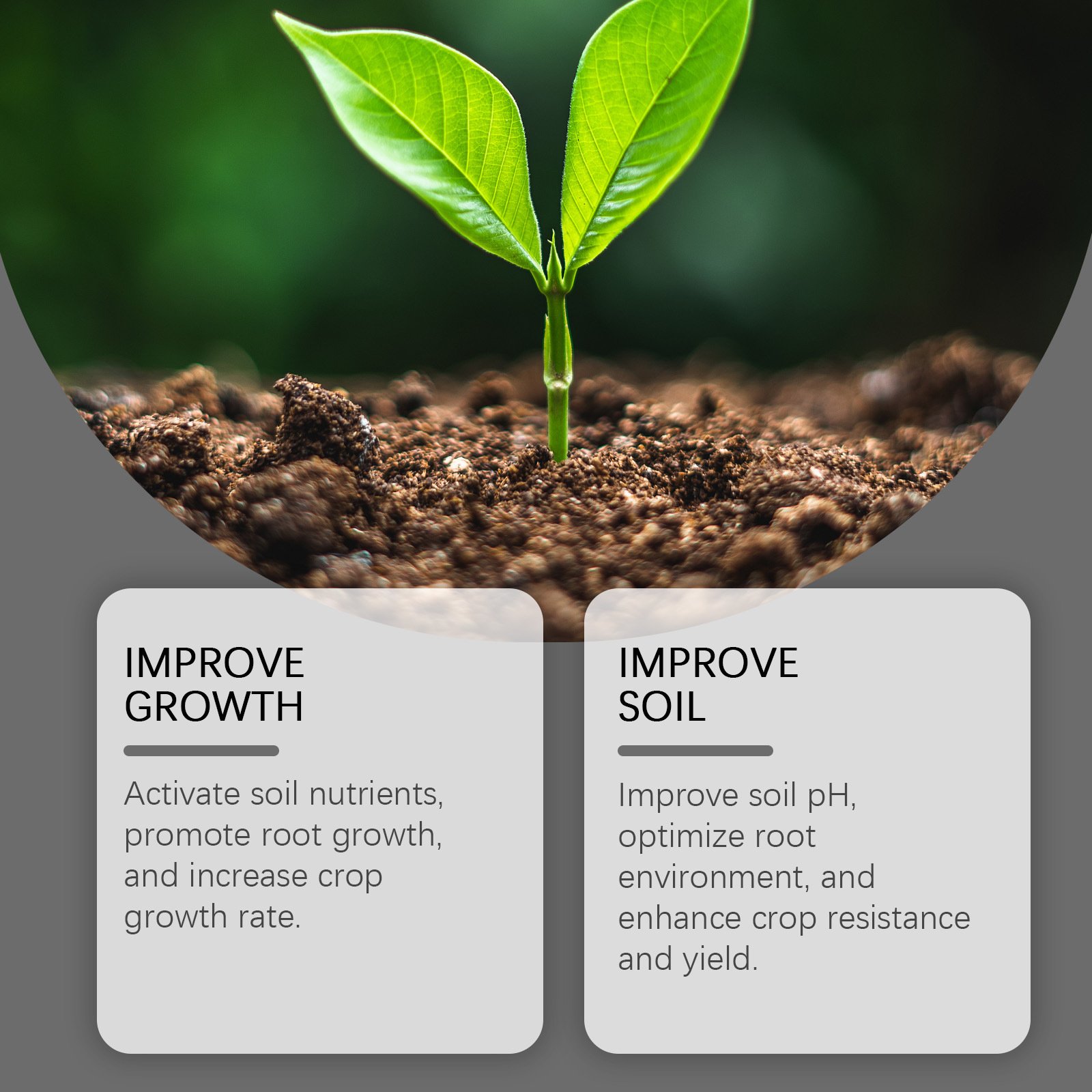 Soil Revitalizer , Concentrated Humic Acid Formula for Lawn & Garden Plant Food Enhancer Yields