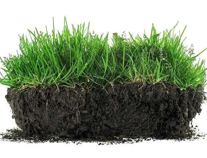 Soil Revitalizer , Concentrated Humic Acid Formula for Lawn & Garden Plant Food Enhancer Yields