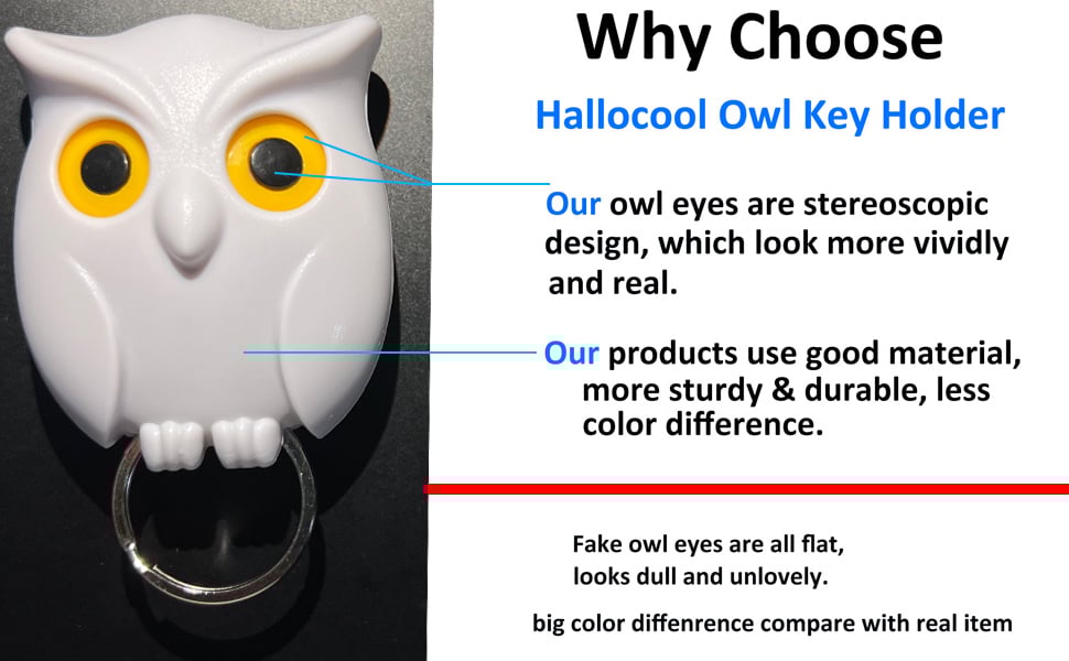 white owl key holder