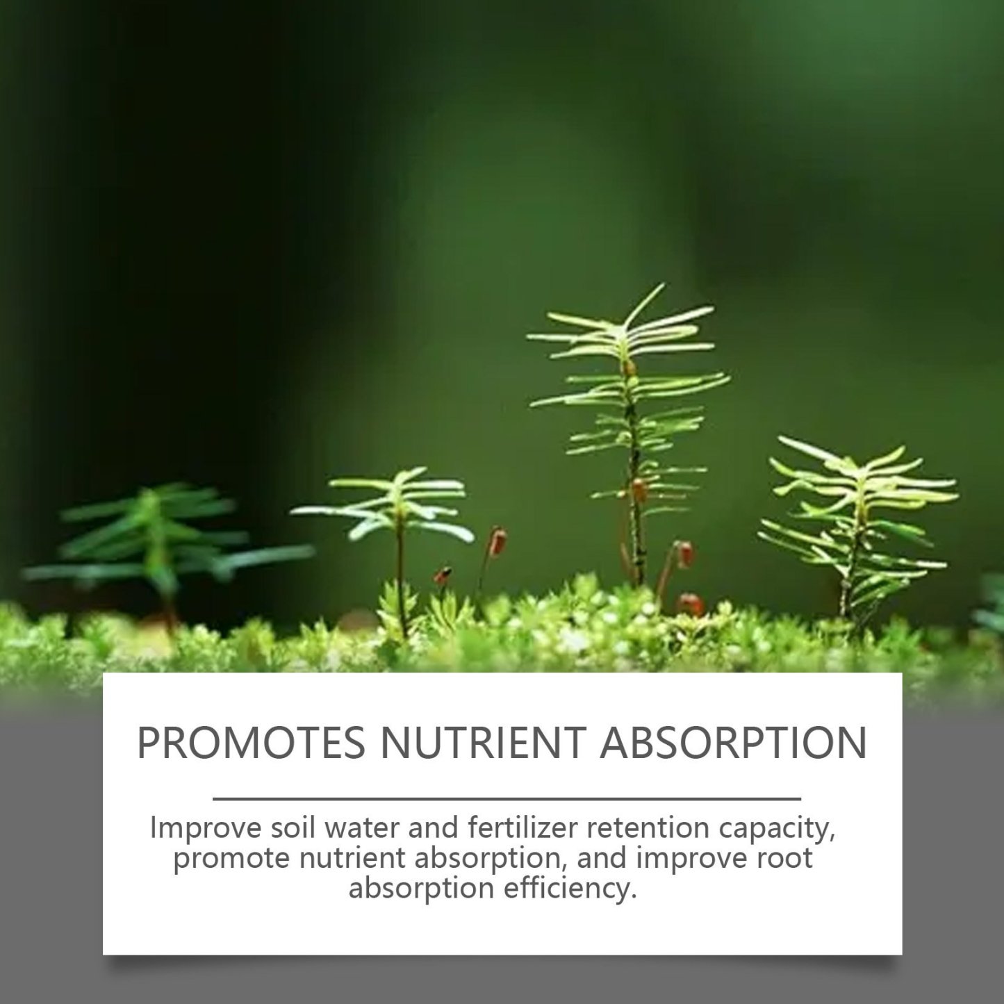 Soil Revitalizer , Concentrated Humic Acid Formula for Lawn & Garden Plant Food Enhancer Yields