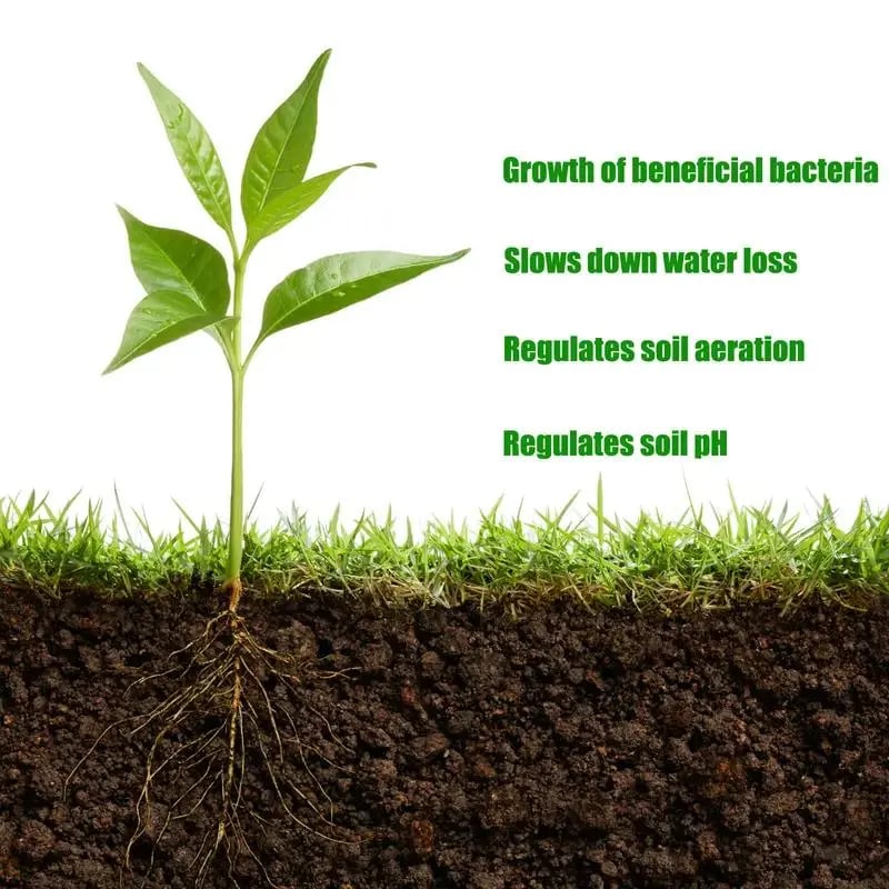 Soil Revitalizer , Concentrated Humic Acid Formula for Lawn & Garden Plant Food Enhancer Yields