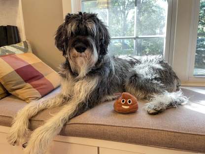 💥Funny Talking Poop Plush Toy – Makes Fart Sounds!