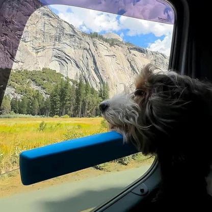 Car Window Chin Rest for Dogs Universal Pet