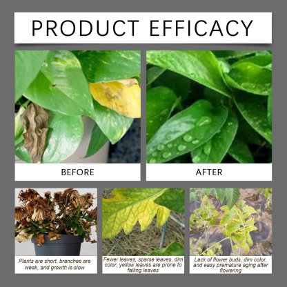 Soil Revitalizer , Concentrated Humic Acid Formula for Lawn & Garden Plant Food Enhancer Yields