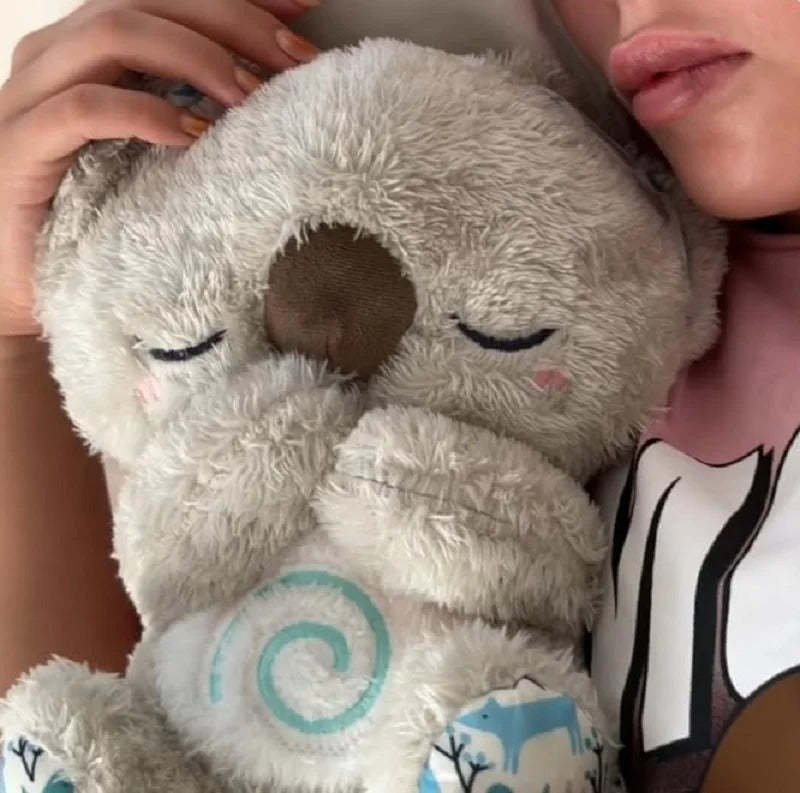 Sleepy Koala