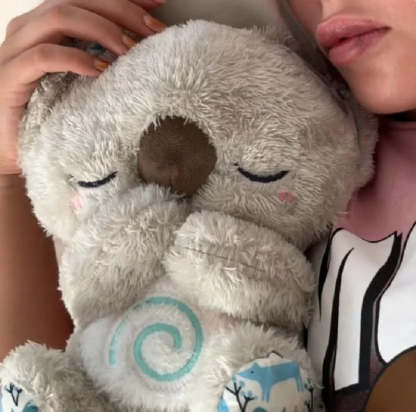 Sleepy Koala