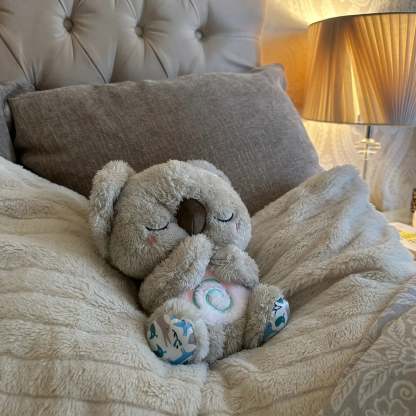 Sleepy Koala
