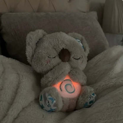 Sleepy Koala