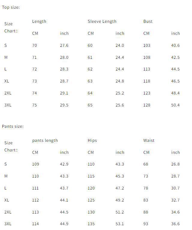 Autumn And Winter Ladies Casual Lapel Suit Wide-Leg Pants Two-Piece Set