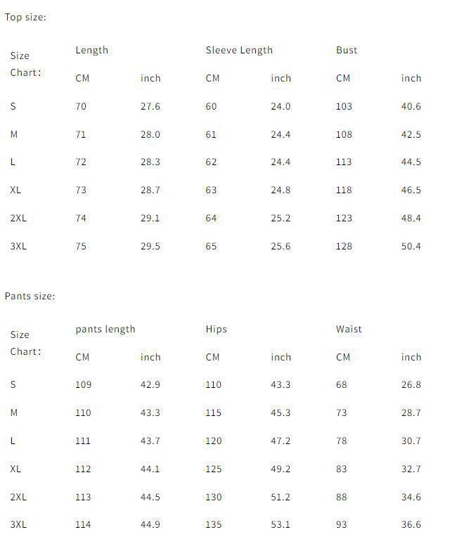 Autumn And Winter Ladies Casual Lapel Suit Wide-Leg Pants Two-Piece Set