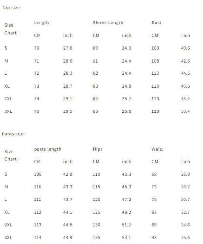 Autumn And Winter Ladies Casual Lapel Suit Wide-Leg Pants Two-Piece Set
