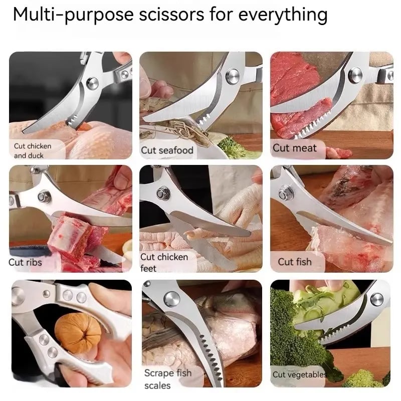 Kitchen Shears Showcase