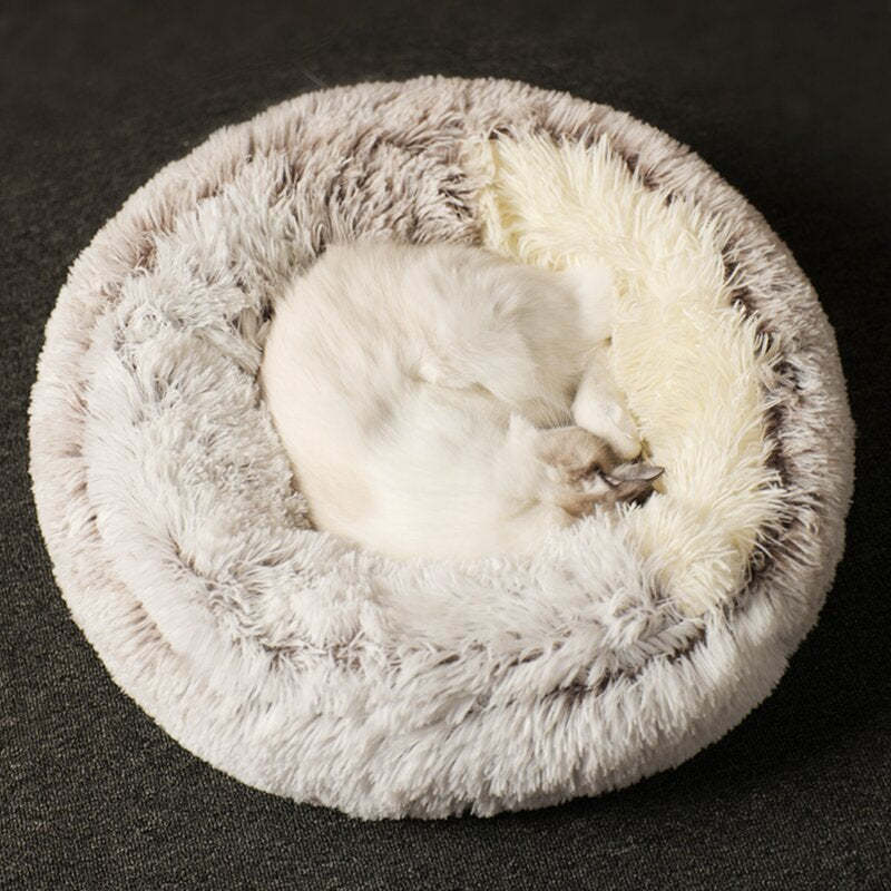  Calming CozyCave