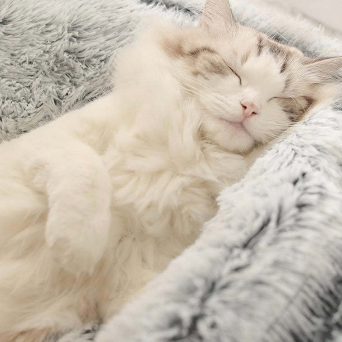 Calming CozyCave