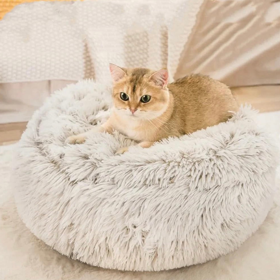  Calming CozyCave
