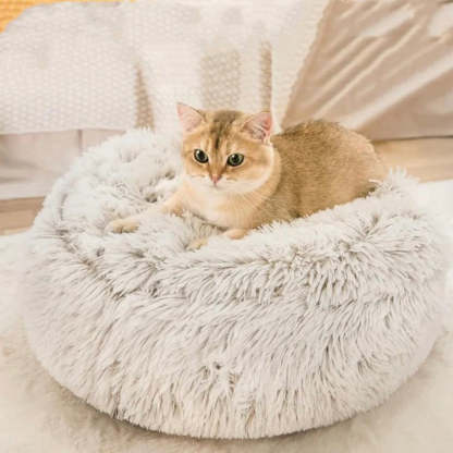  Calming CozyCave