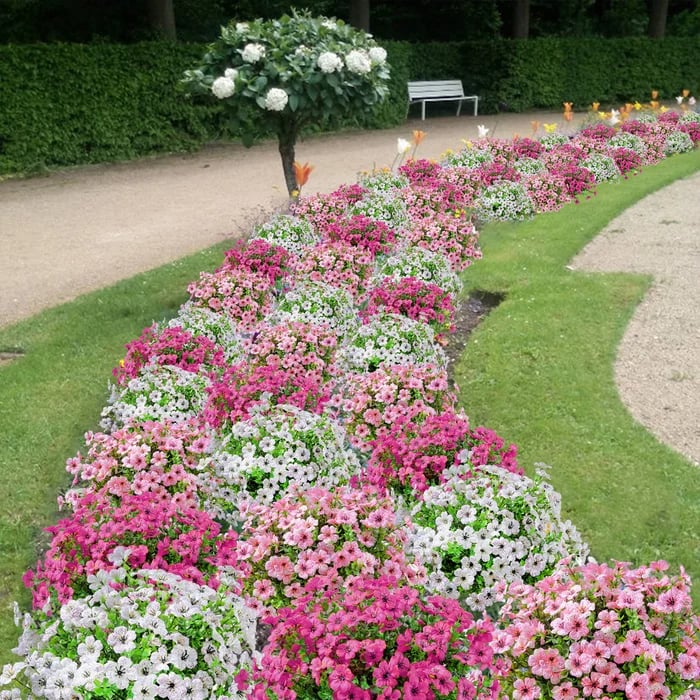 🔥🔥Outdoor Plants - Artificial flowers