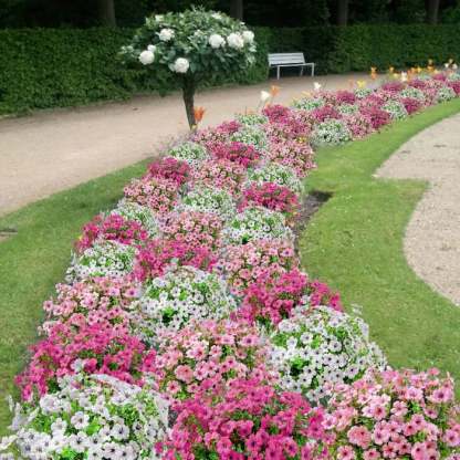 🔥🔥Outdoor Plants - Artificial flowers