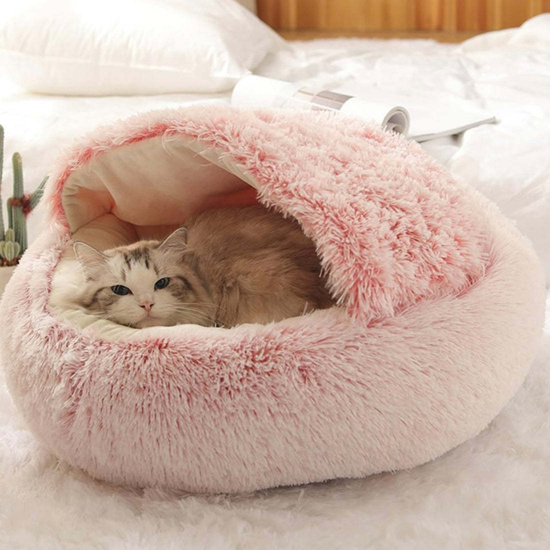  Calming CozyCave