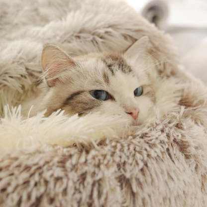  Calming CozyCave