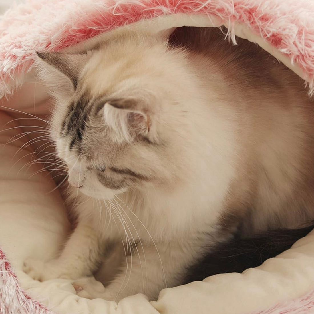  Calming CozyCave
