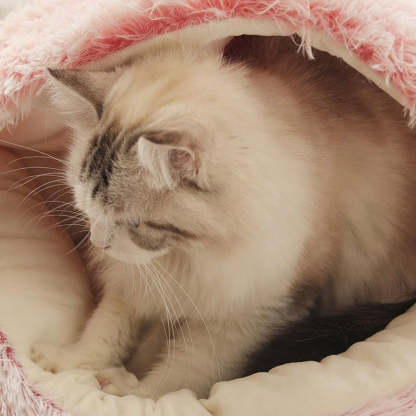  Calming CozyCave