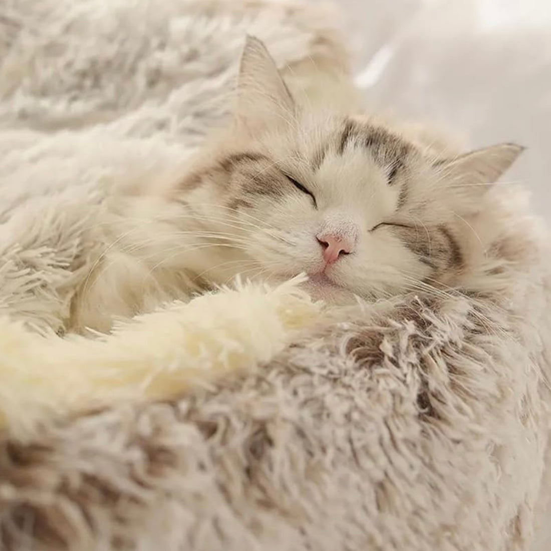  Calming CozyCave