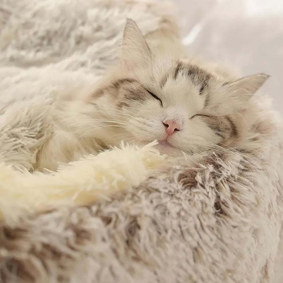  Calming CozyCave