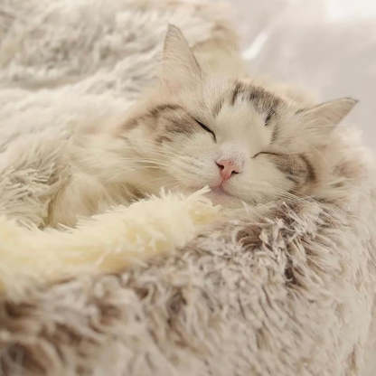  Calming CozyCave
