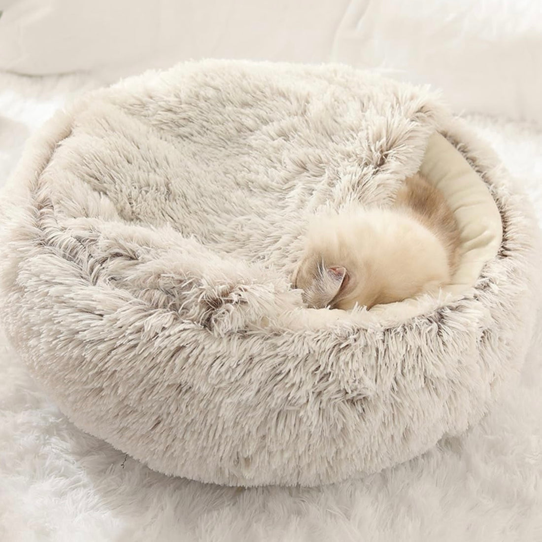  Calming CozyCave