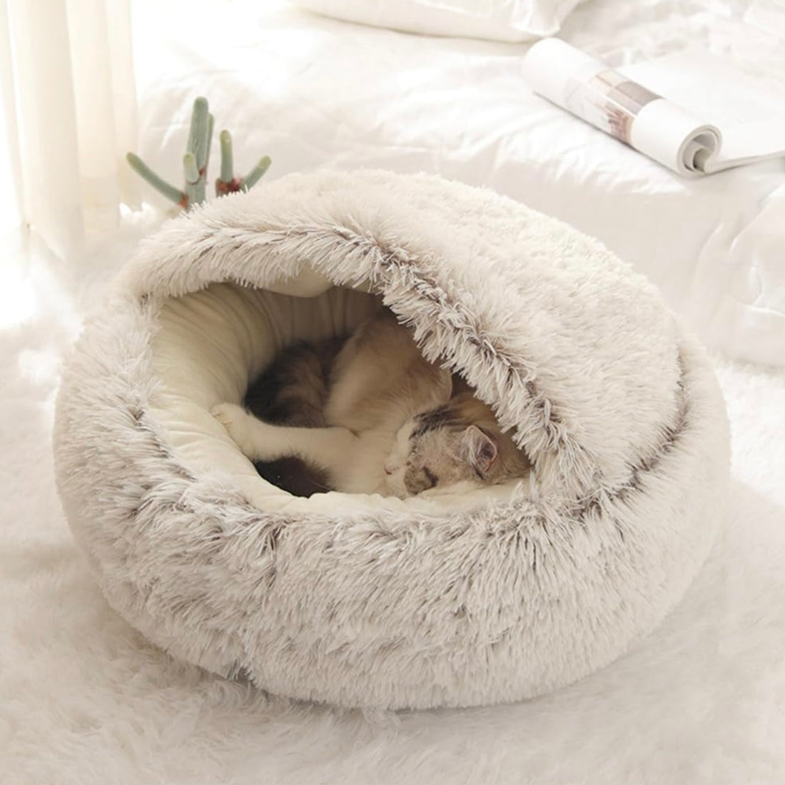  Calming CozyCave