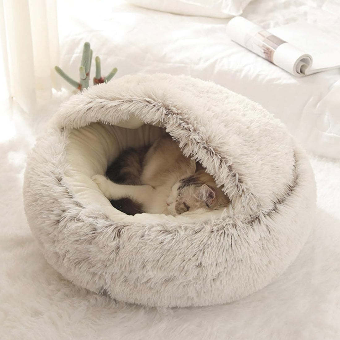  Calming CozyCave