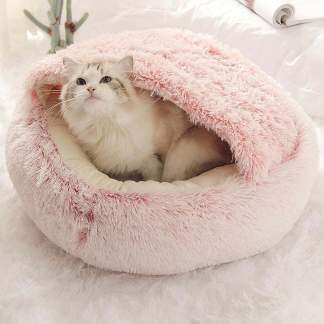  Calming CozyCave