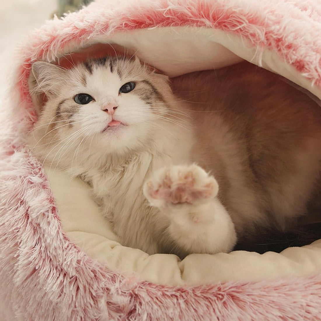  Calming CozyCave