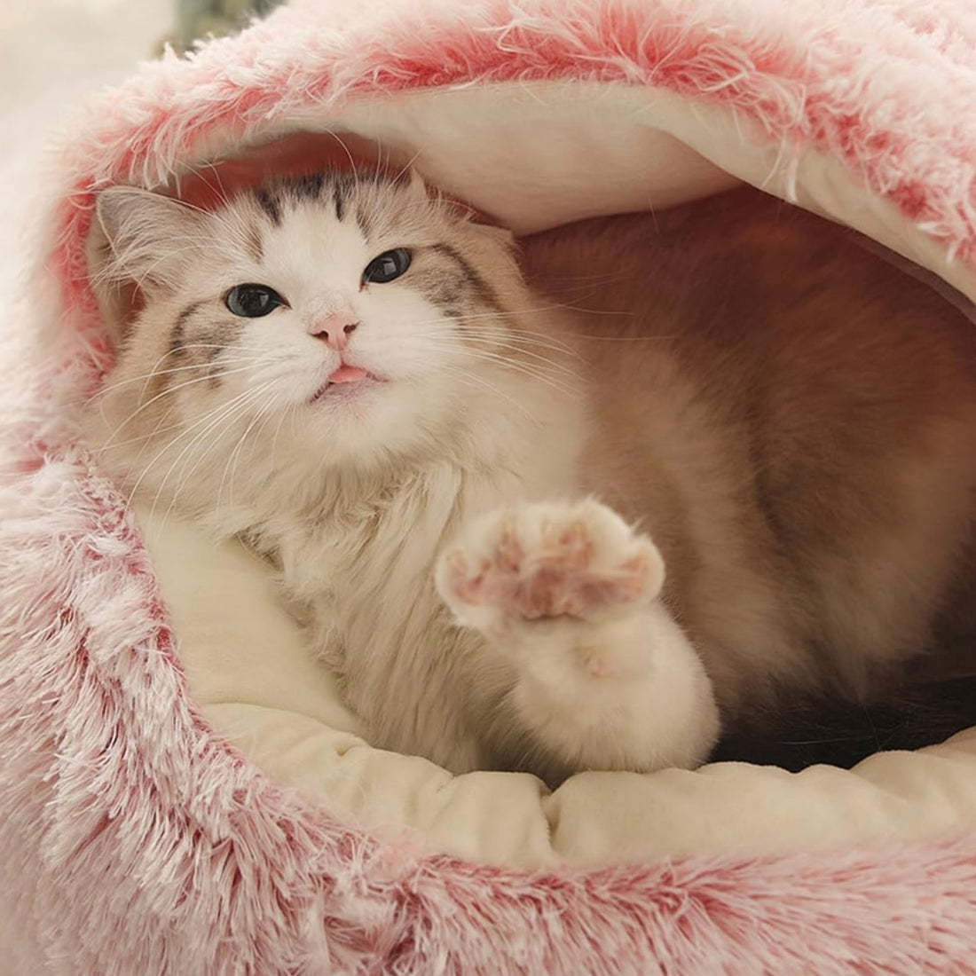  Calming CozyCave