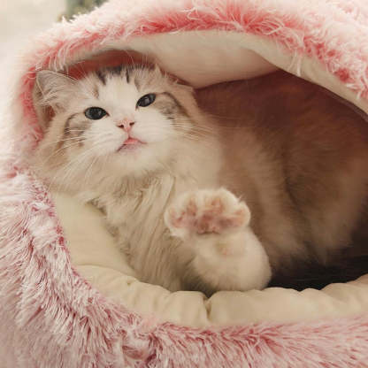 Calming CozyCave